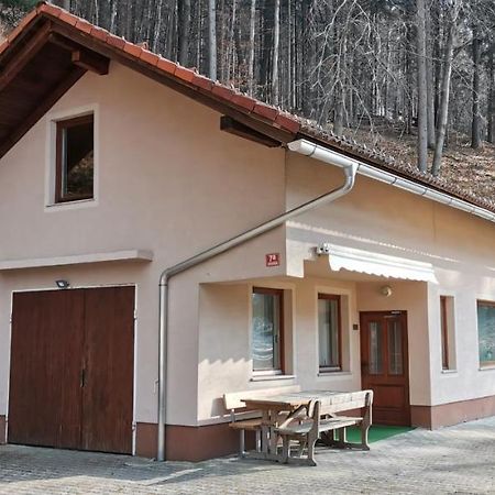 Apartma Regina Slovenj Gradec Dış mekan fotoğraf