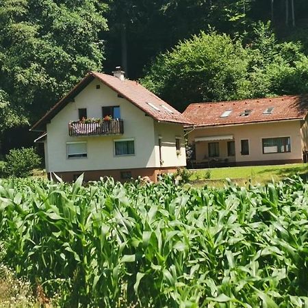 Apartma Regina Slovenj Gradec Dış mekan fotoğraf