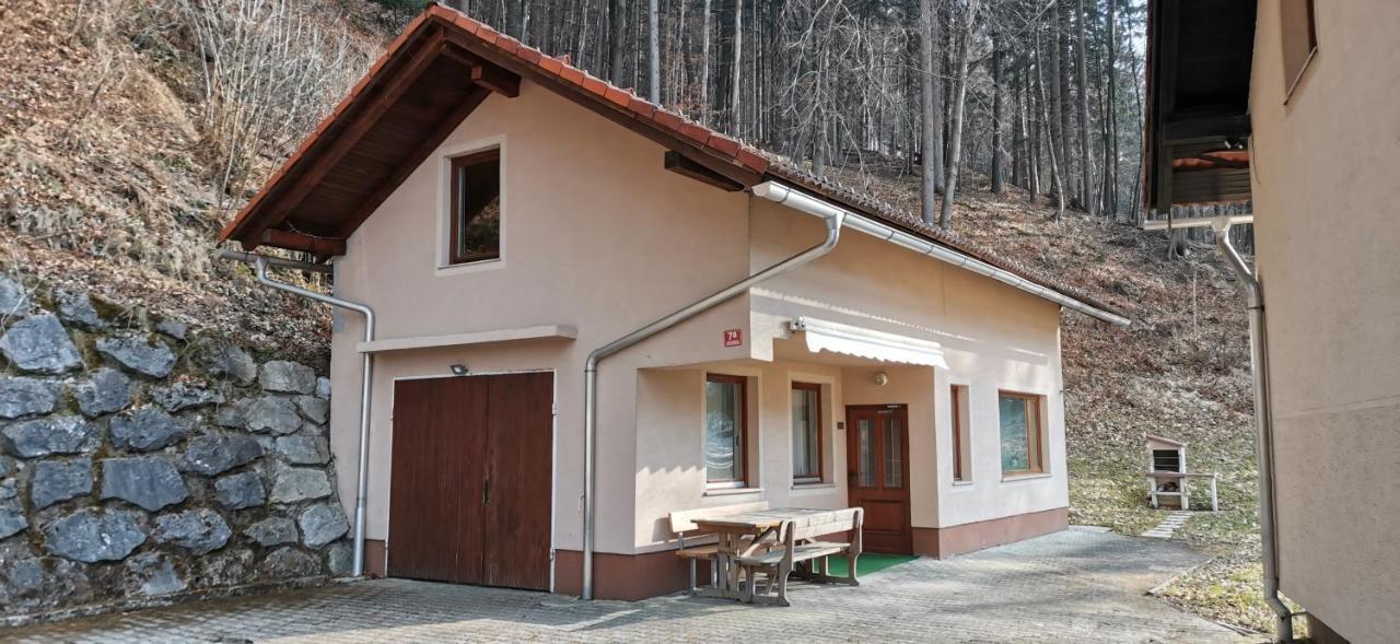 Apartma Regina Slovenj Gradec Dış mekan fotoğraf
