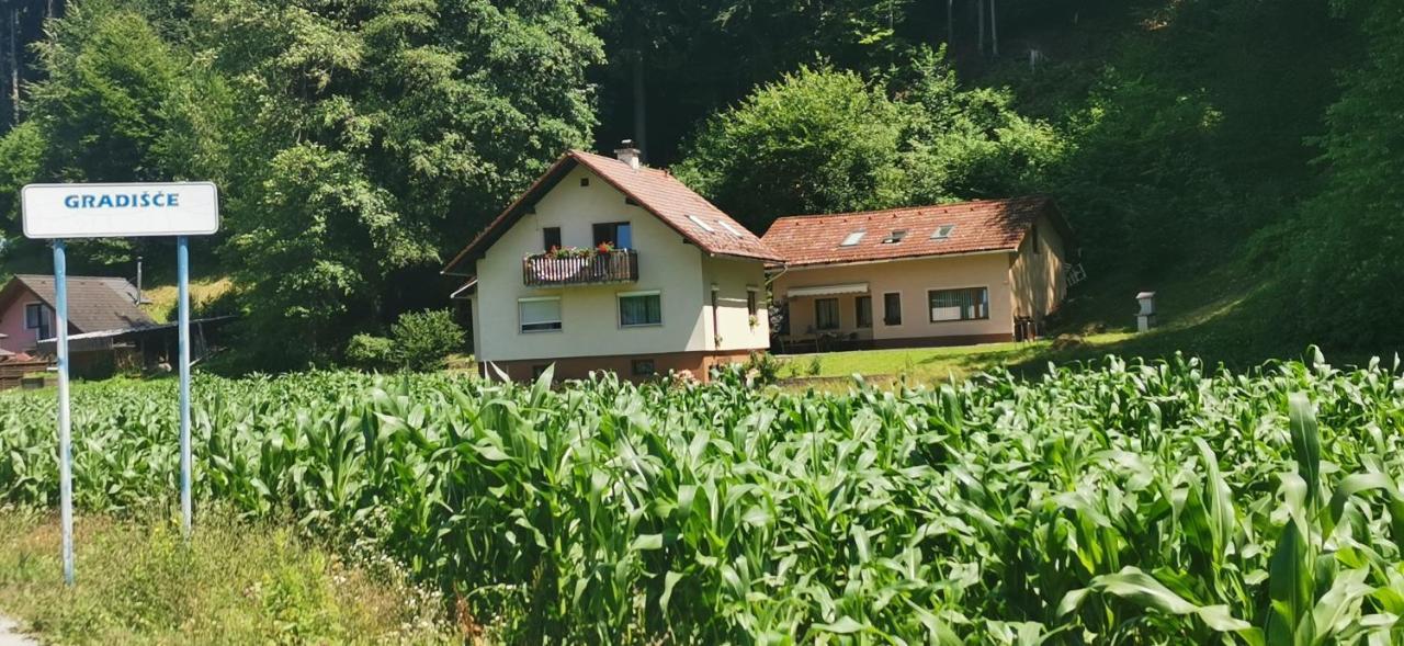 Apartma Regina Slovenj Gradec Dış mekan fotoğraf