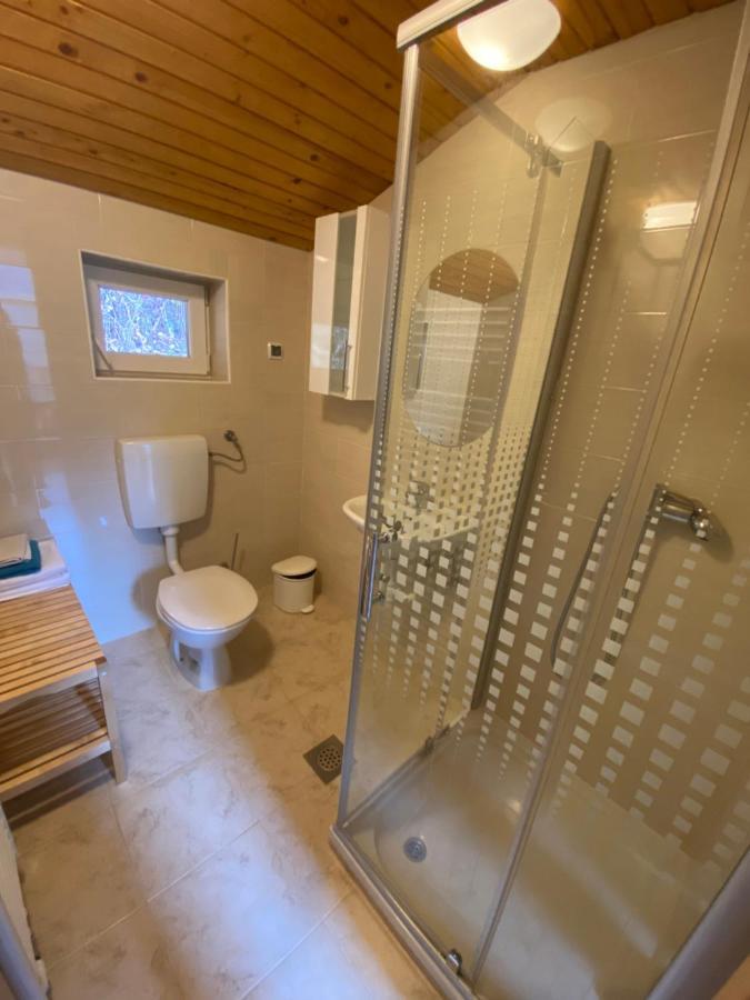 Apartma Regina Slovenj Gradec Dış mekan fotoğraf